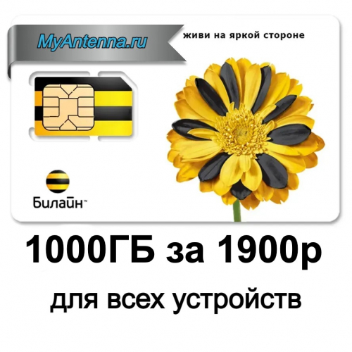 prodtmpimg/16203374020666_-_time_-_Beeline-196_20479.jpg